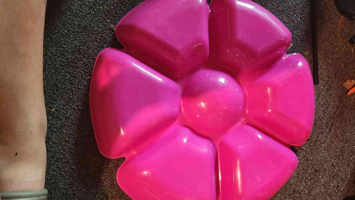 Divided Tray for Fruit and Dip in the Middle - Hawley, Pennsylvania - FleaMarketBay