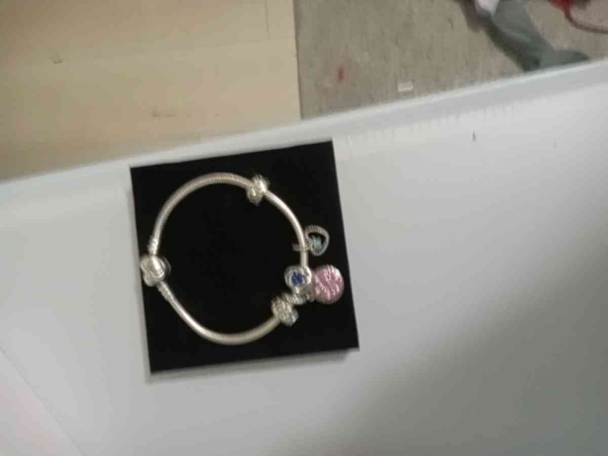 pandora bracelet - Gallipolis Ferry, West Virginia