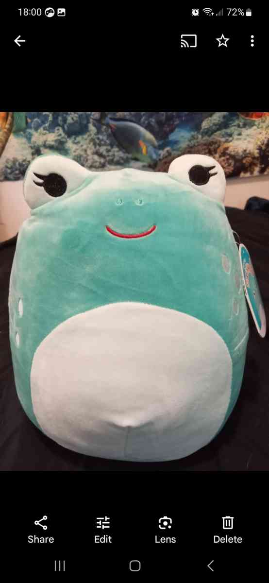 Brand New Squishmallows - Eugene, Oregon - FleaMarketBay