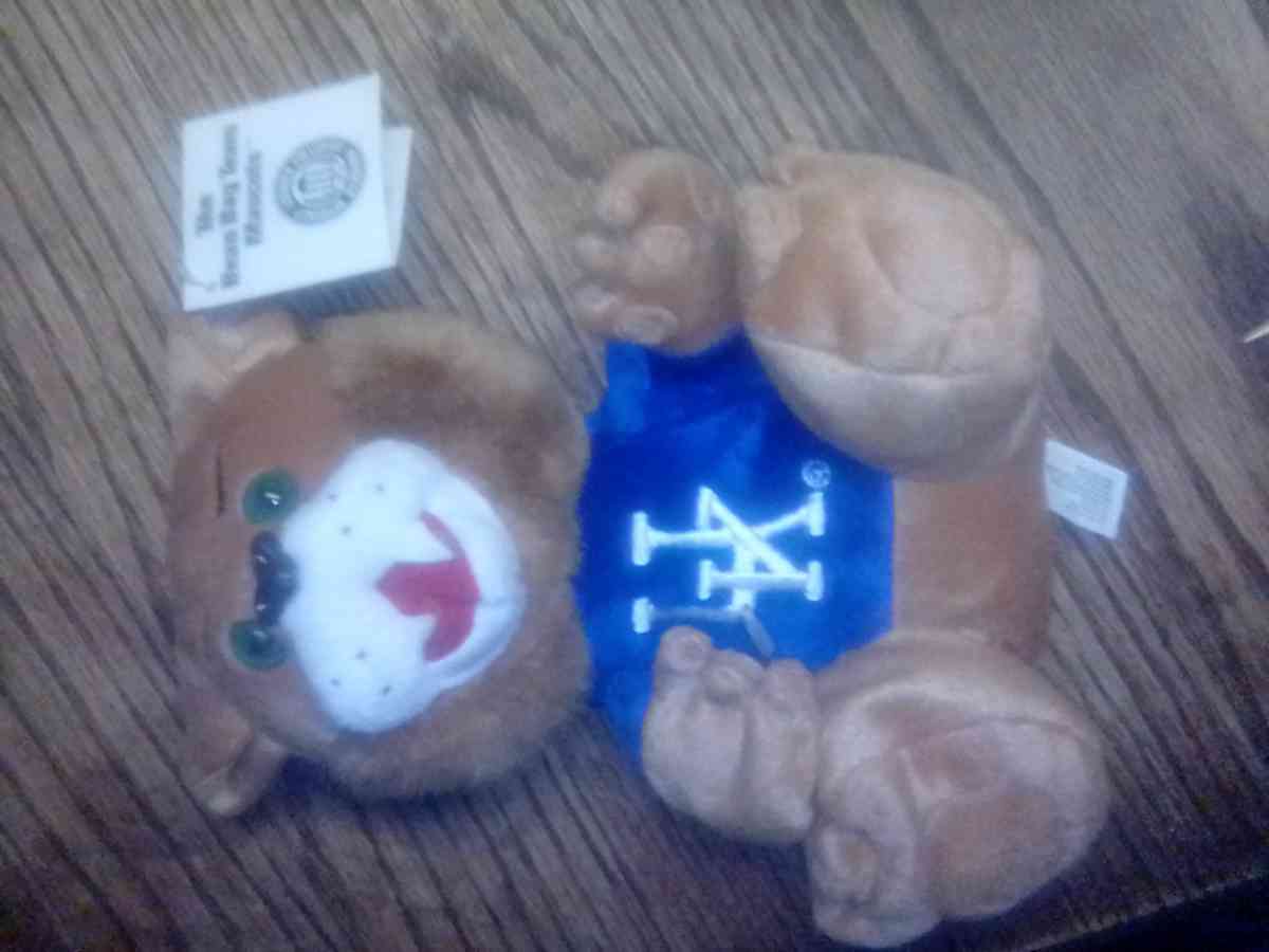 UofK wildcats Bennie babie - Louisville, Kentucky