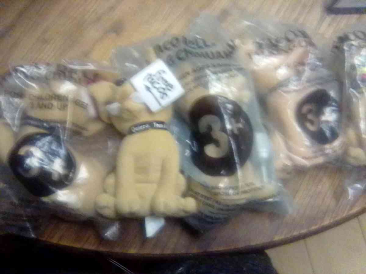 Taco Bell dogs - Louisville, Kentucky