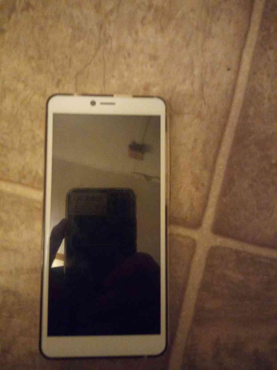 government phone - Anderson, South Carolina