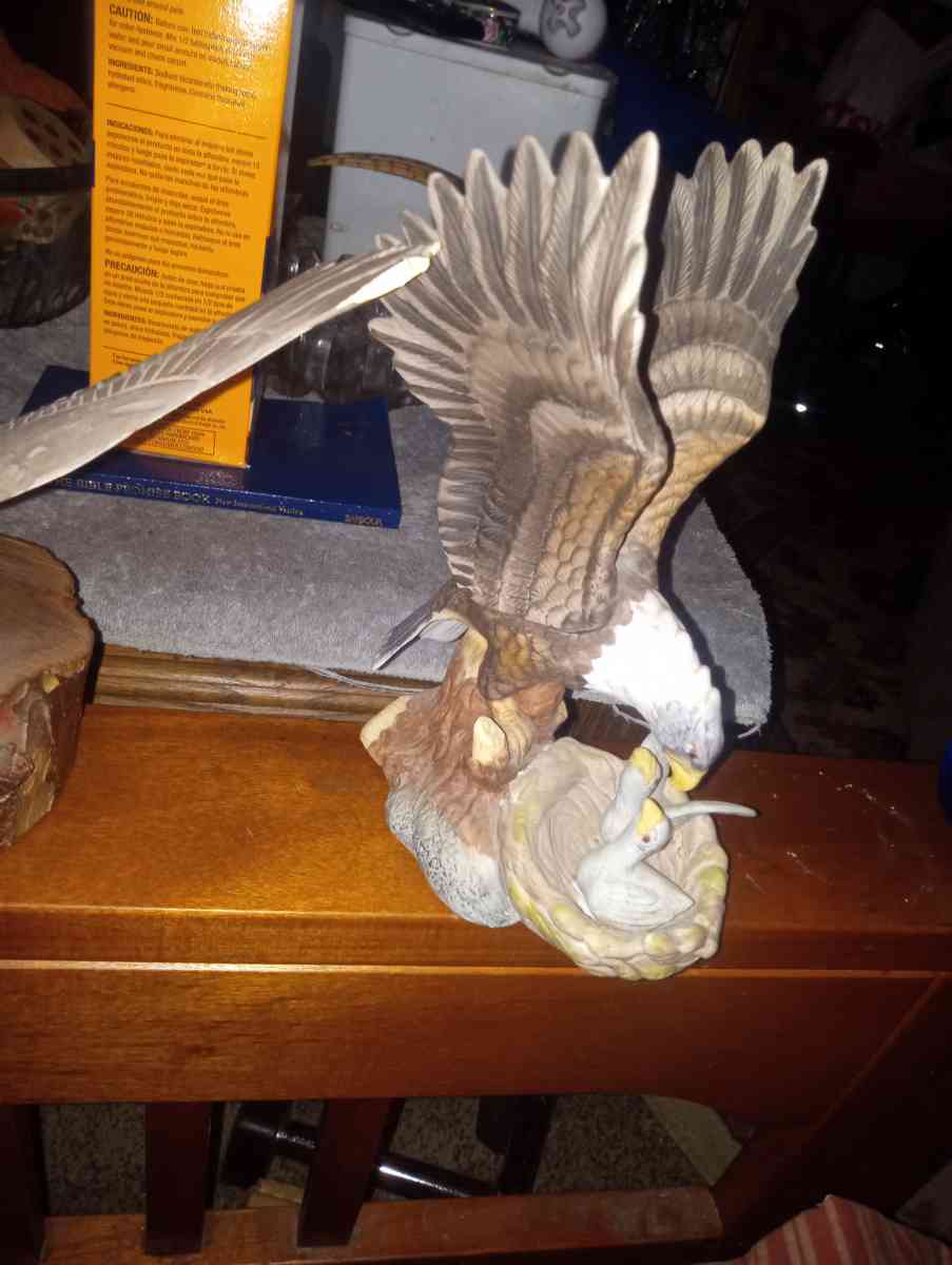 big owl feeding babies - Arnold, California