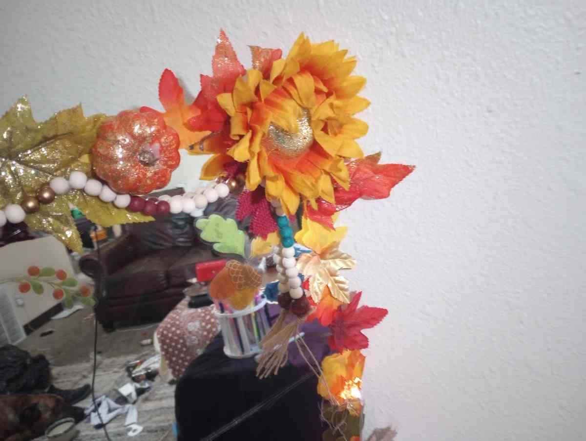 48 in x 32 in Full Length Fall Frame Mirror - Alamosa, Colorado - FleaMarketBay