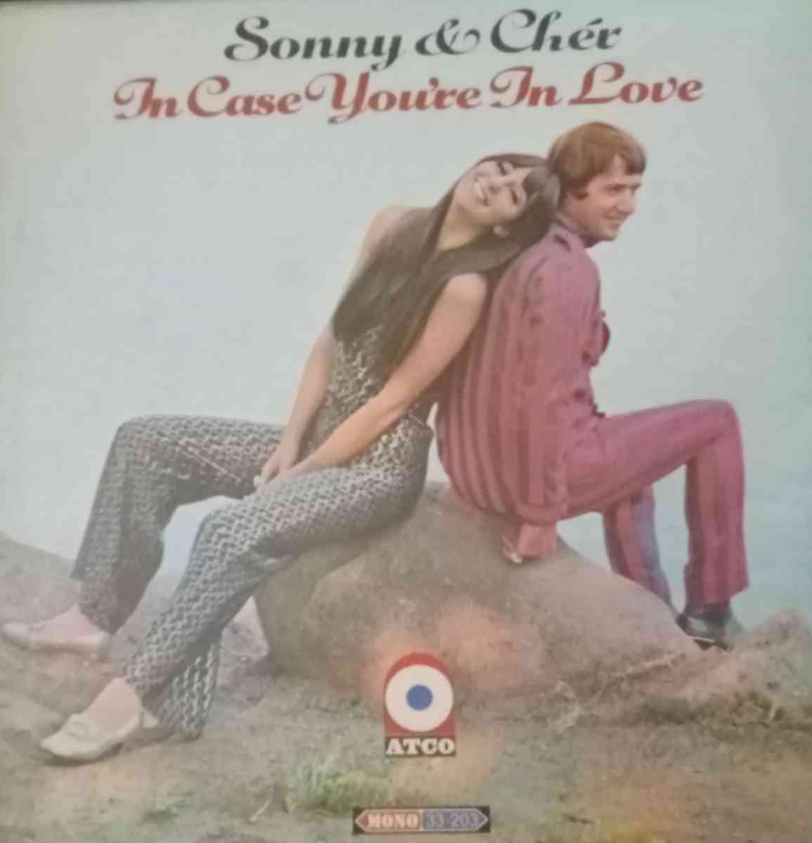 Sonny and cher in case youre in love vinyl - Indianapolis, Indiana