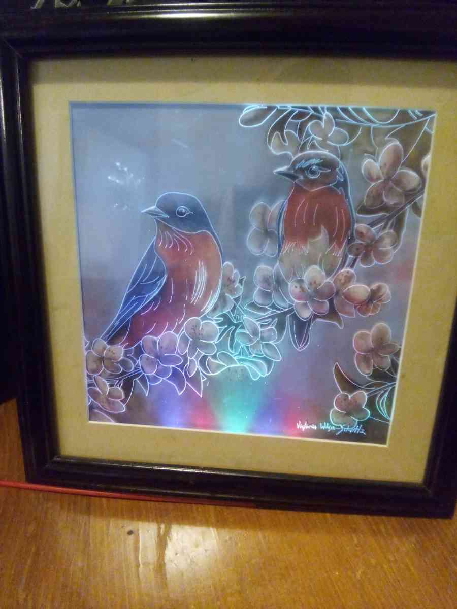framed picture of two birds with LED lighting - Addieville, Illinois - FleaMarketBay