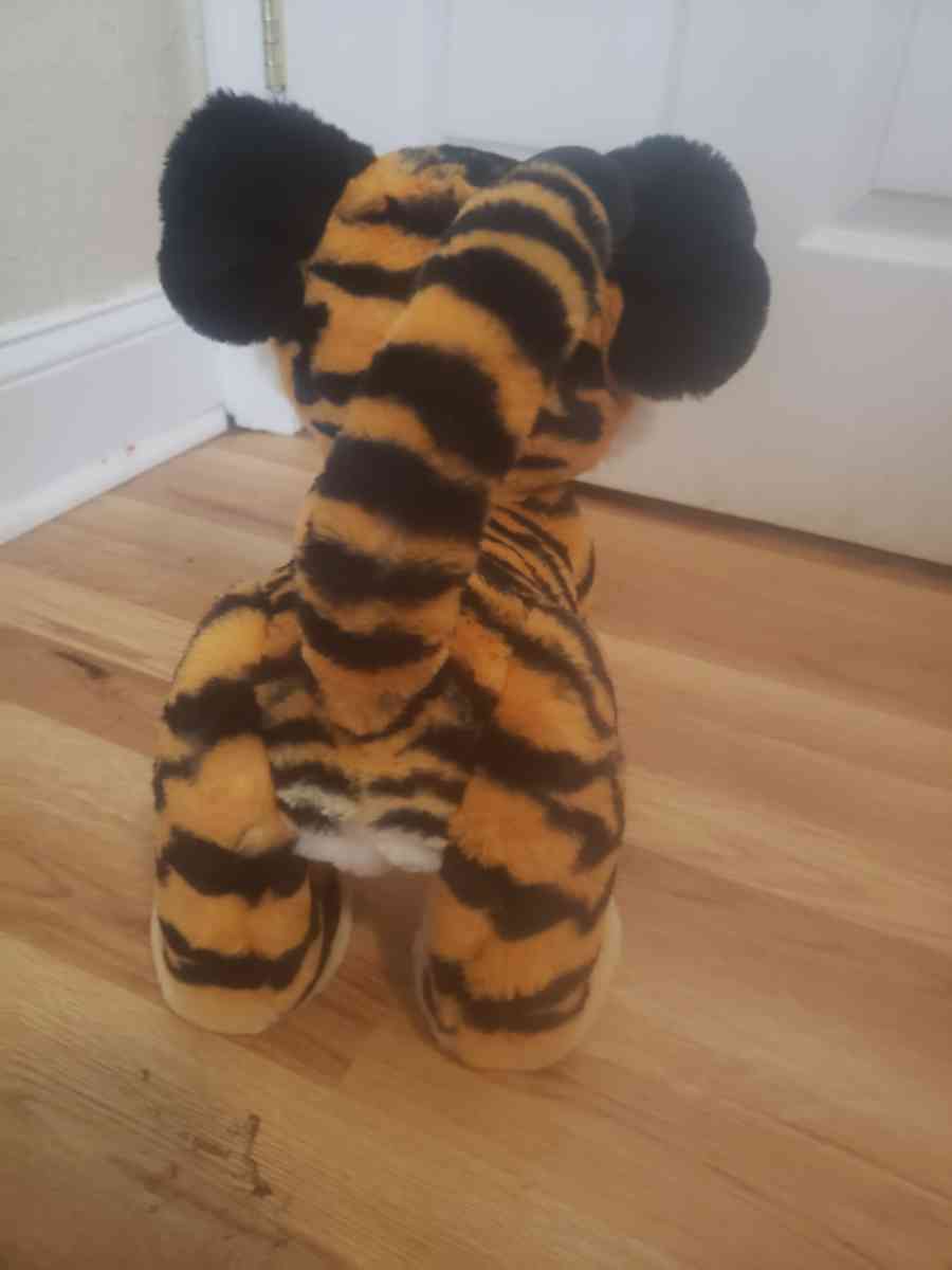 tiger - Orlando, Florida - FleaMarketBay