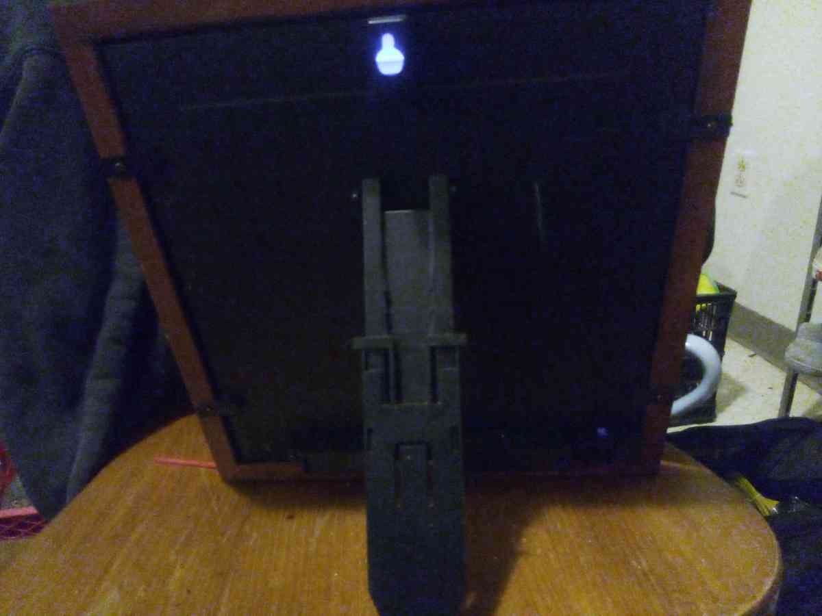 framed picture of two birds with LED lighting - Addieville, Illinois - FleaMarketBay