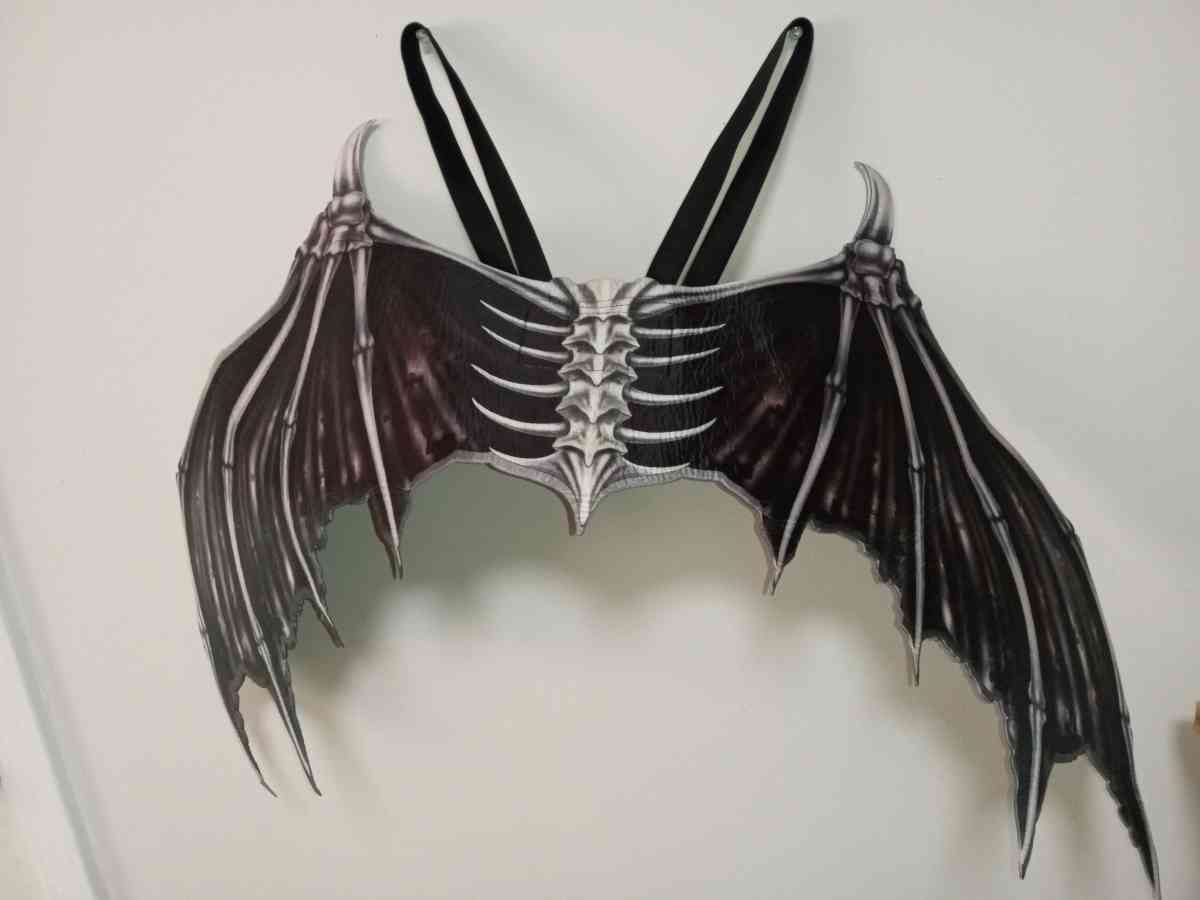 Halloween bat wings - Chicago, Illinois