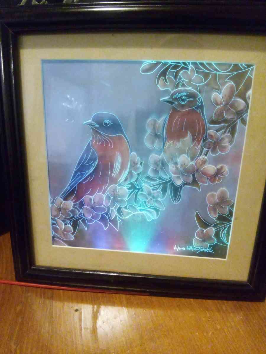 framed picture of two birds with LED lighting - Addieville, Illinois - FleaMarketBay