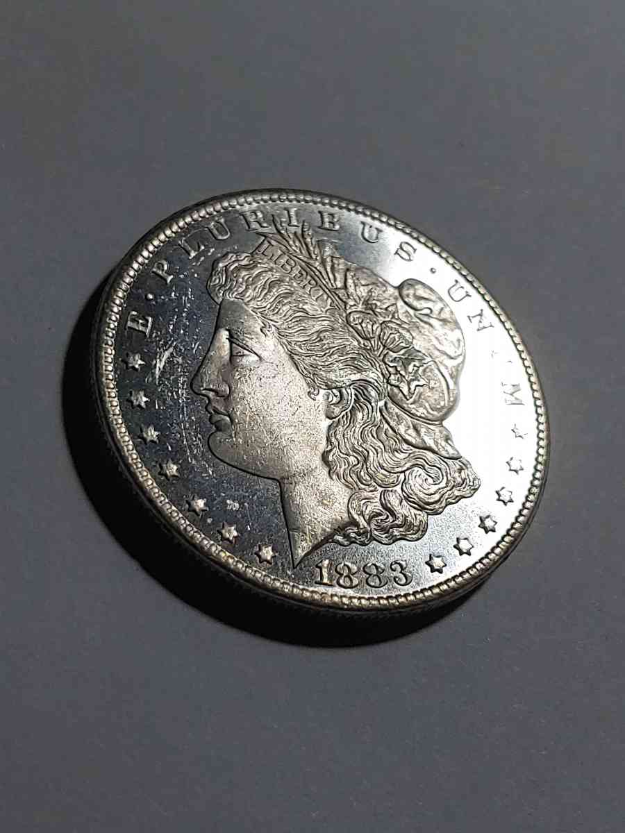 HIGH GRADE GEM DEEP MIRROR DMPL SILVER 1883 cc - Brooklyn, New York - FleaMarketBay