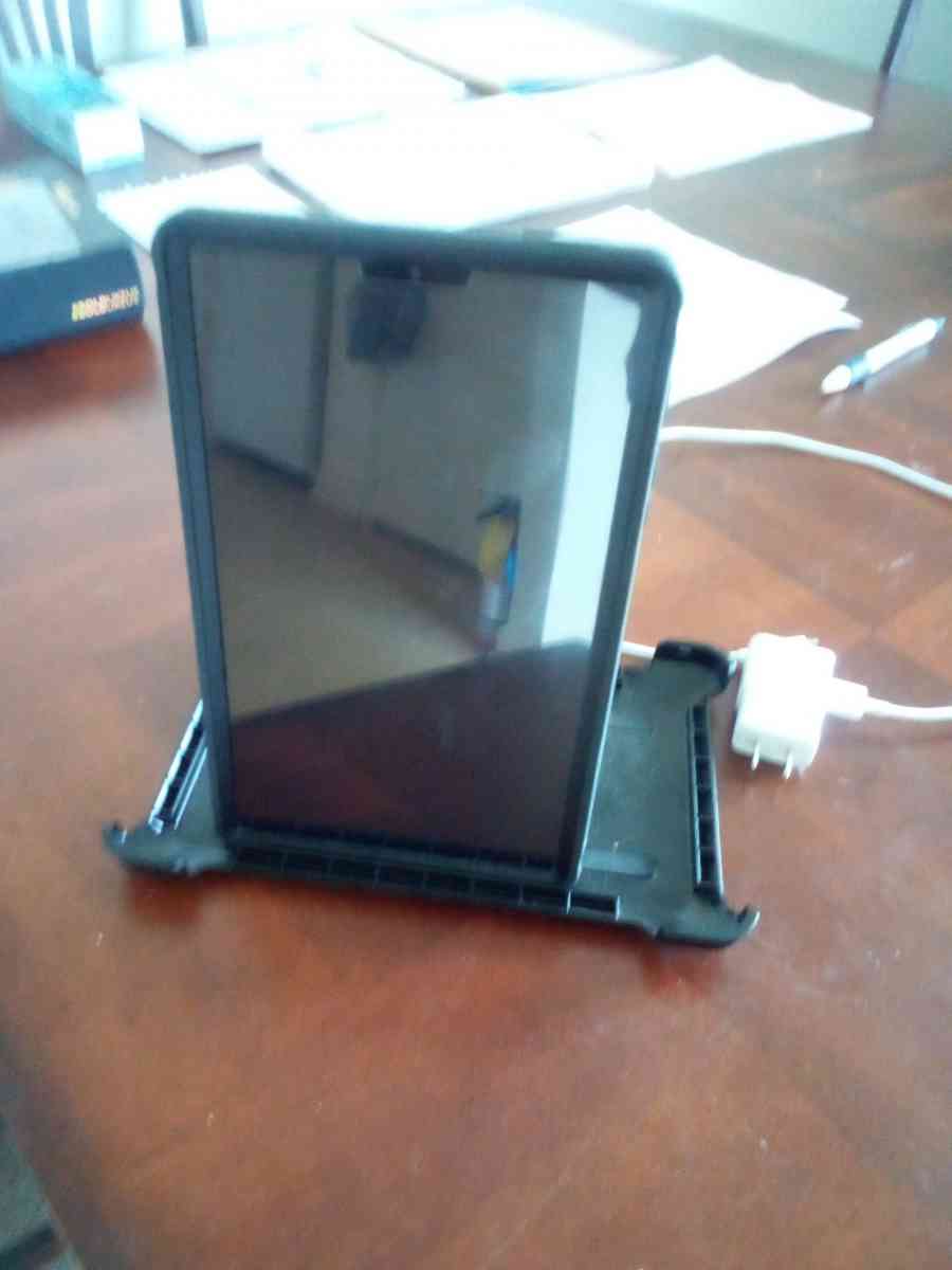 otter ipad - Fort Oglethorpe, Georgia