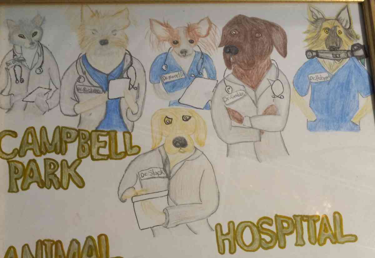 customize painting - Garland, Texas - FleaMarketBay