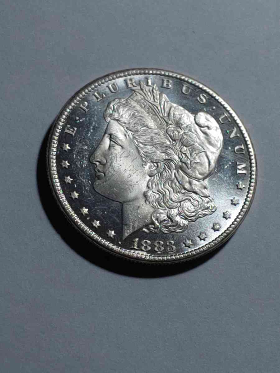 HIGH GRADE GEM DEEP MIRROR DMPL SILVER 1883 cc - Brooklyn, New York - FleaMarketBay