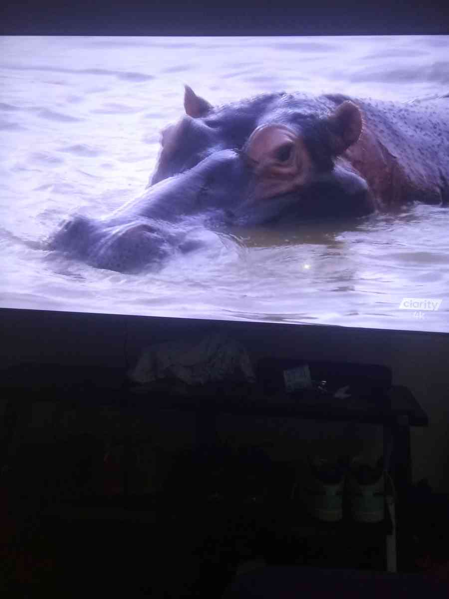 Samsung Tv - Denham Springs, Louisiana - FleaMarketBay