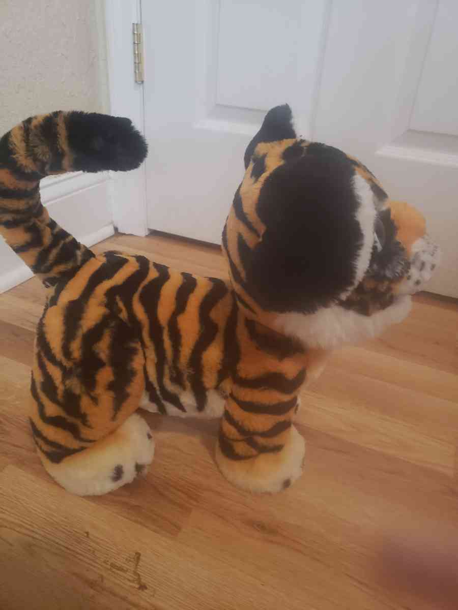 tiger - Orlando, Florida - FleaMarketBay