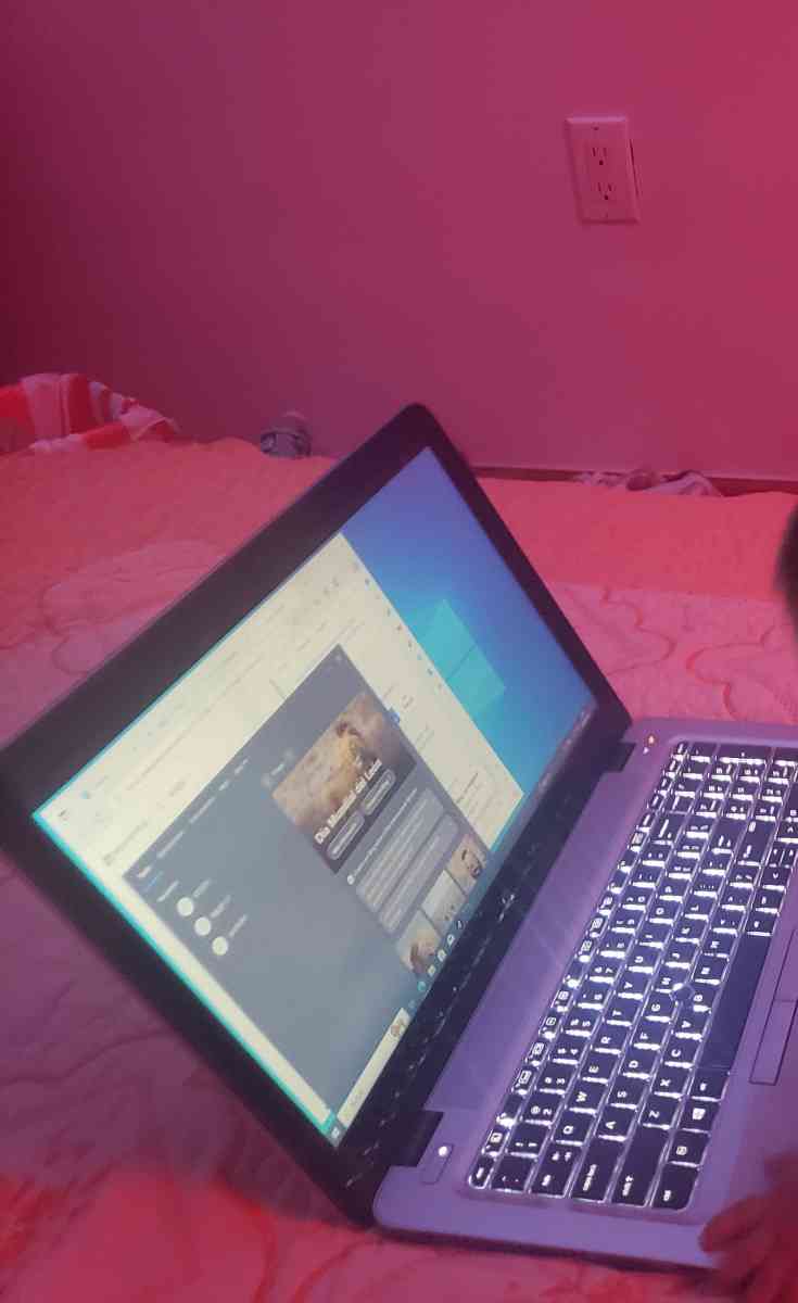 abelfelicianotemajquiche347gmailcom - Brooklyn, New York