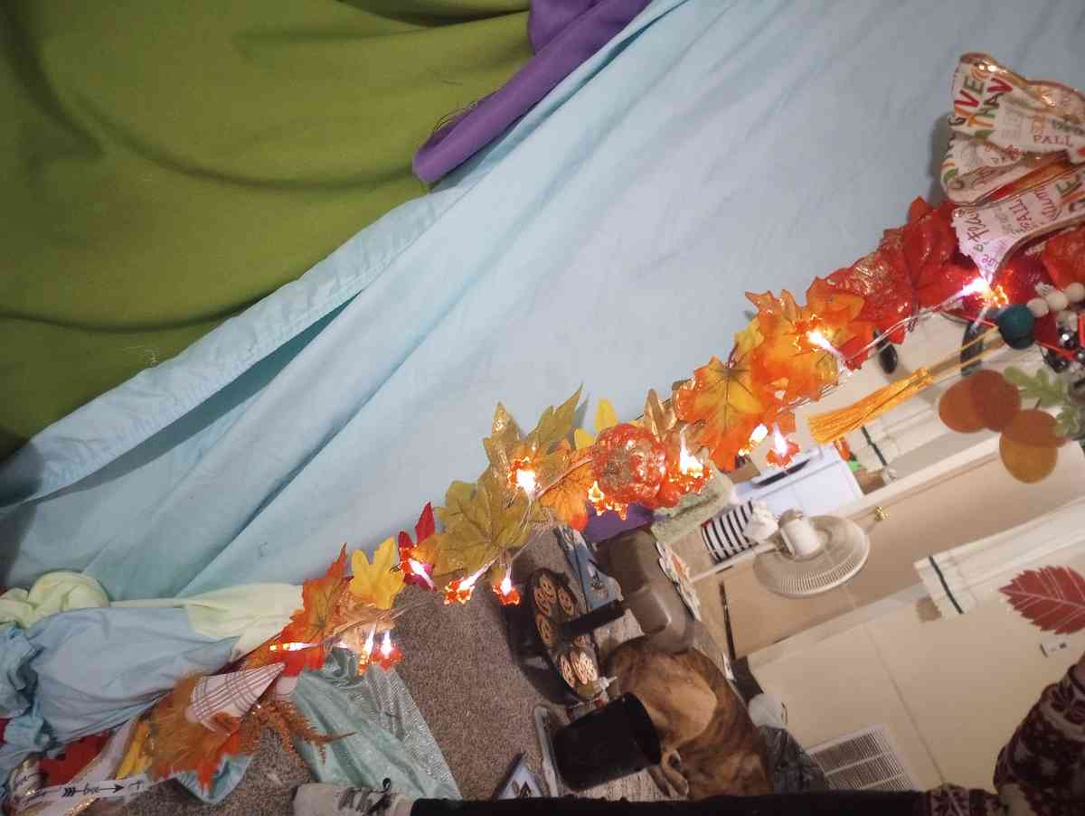 48 in x 32 in Full Length Fall Frame Mirror - Alamosa, Colorado - FleaMarketBay