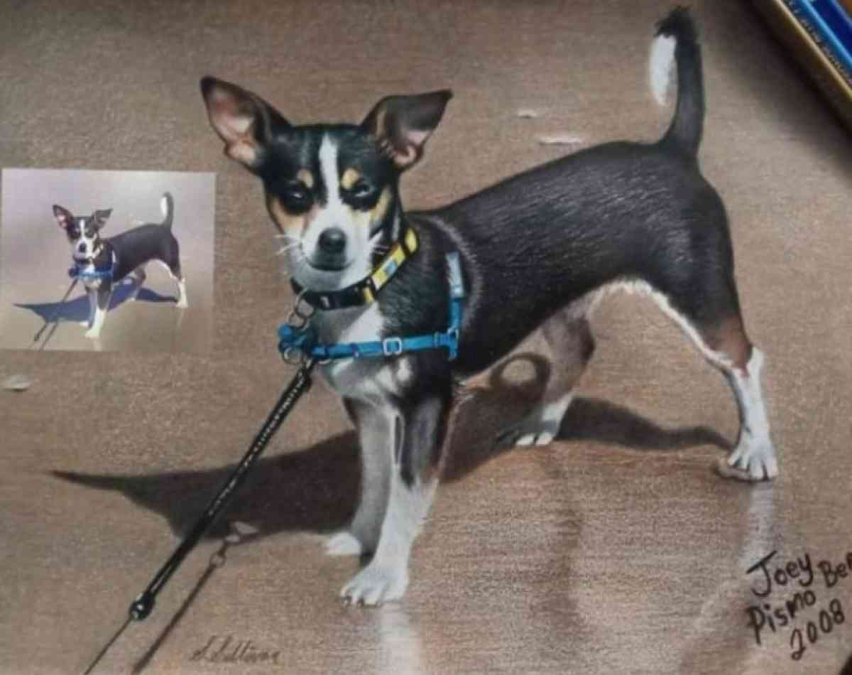 Hand drawn portraits - Alsip, Illinois - FleaMarketBay