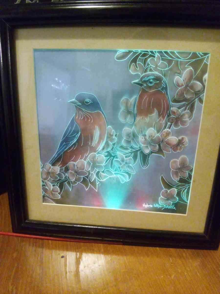 framed picture of two birds with LED lighting - Addieville, Illinois - FleaMarketBay