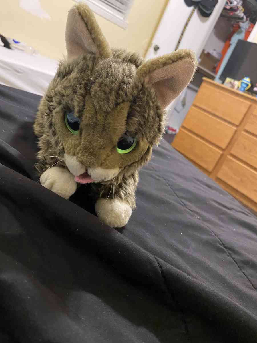 cat plush