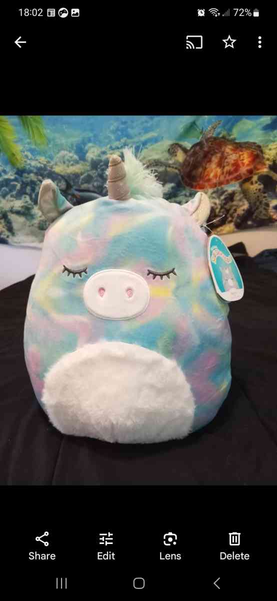 Brand New Squishmallows - Eugene, Oregon - FleaMarketBay