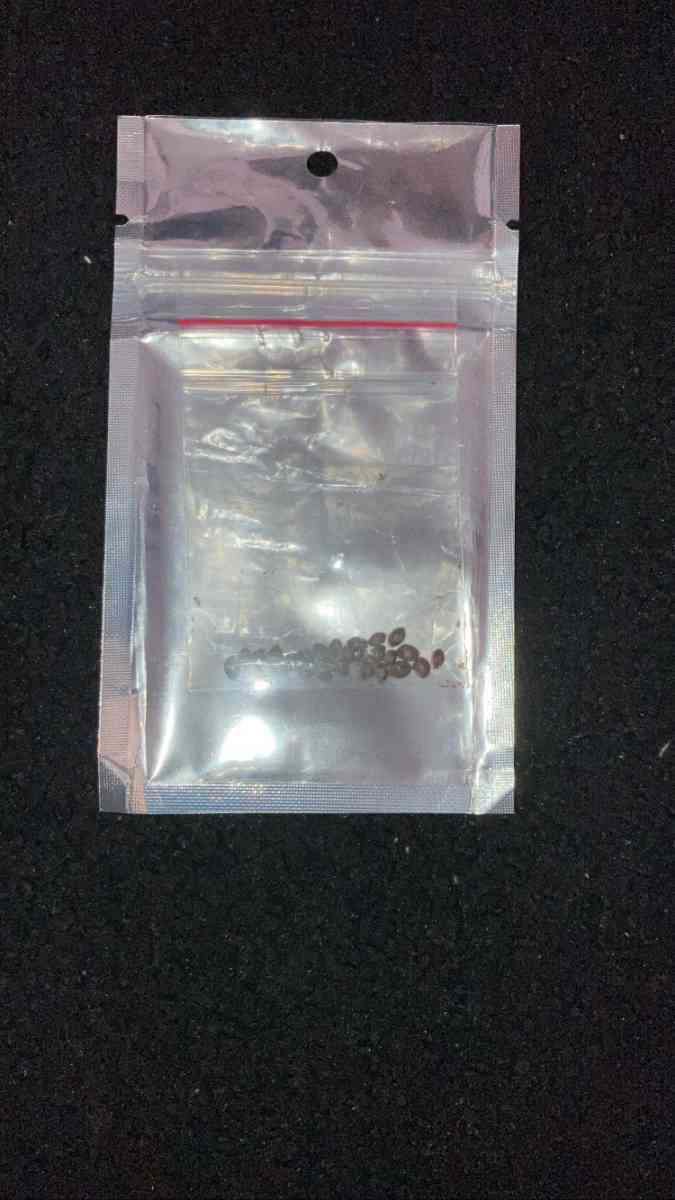 premium seeds - Hilo, Hawaii - FleaMarketBay