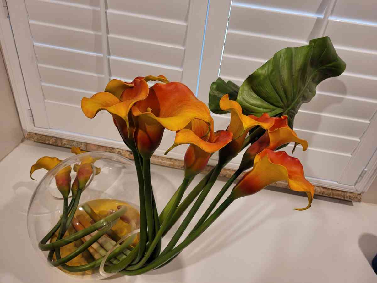 decorative - Hialeah, Florida