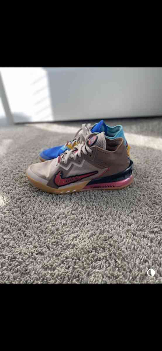 Space jam x lebron 18 shoes - Apex, North Carolina - FleaMarketBay