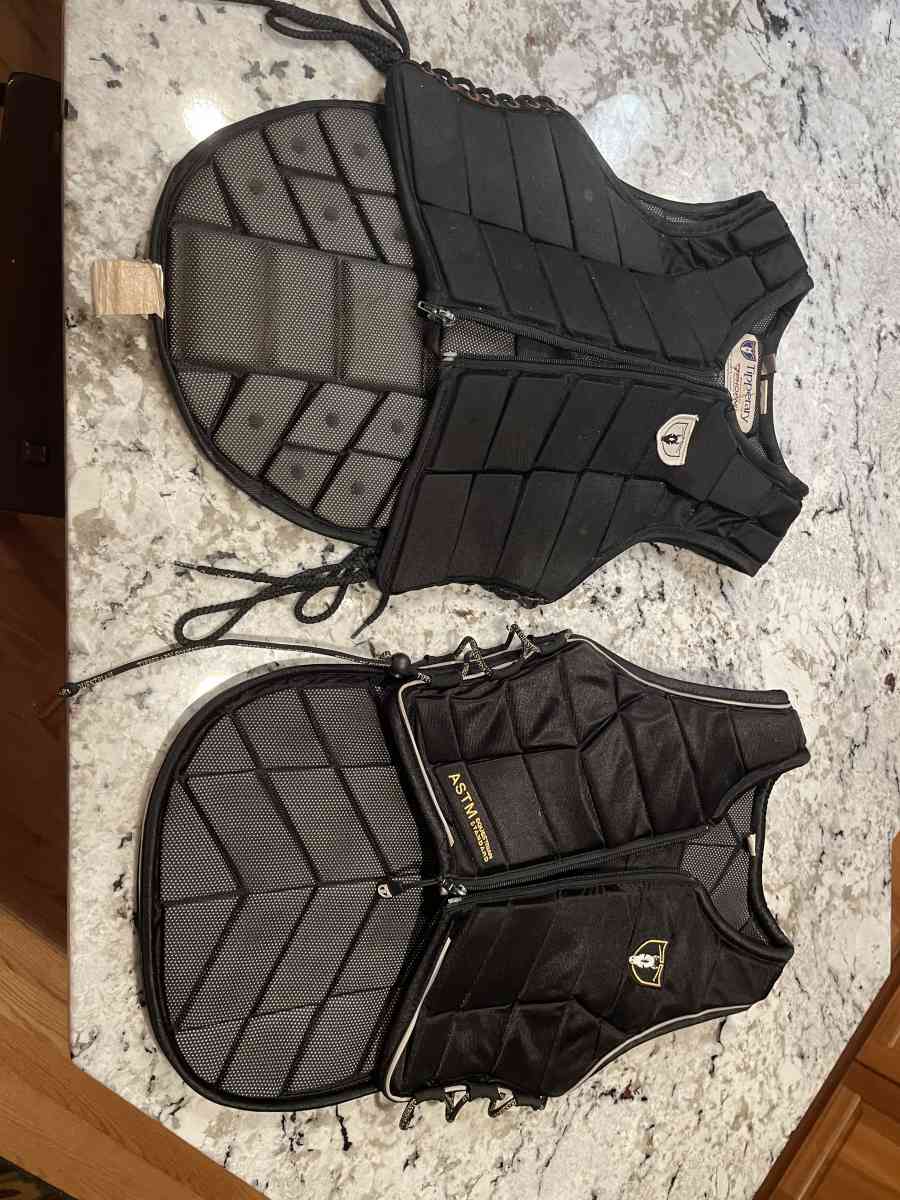 Horse equipment - Penfield, New York