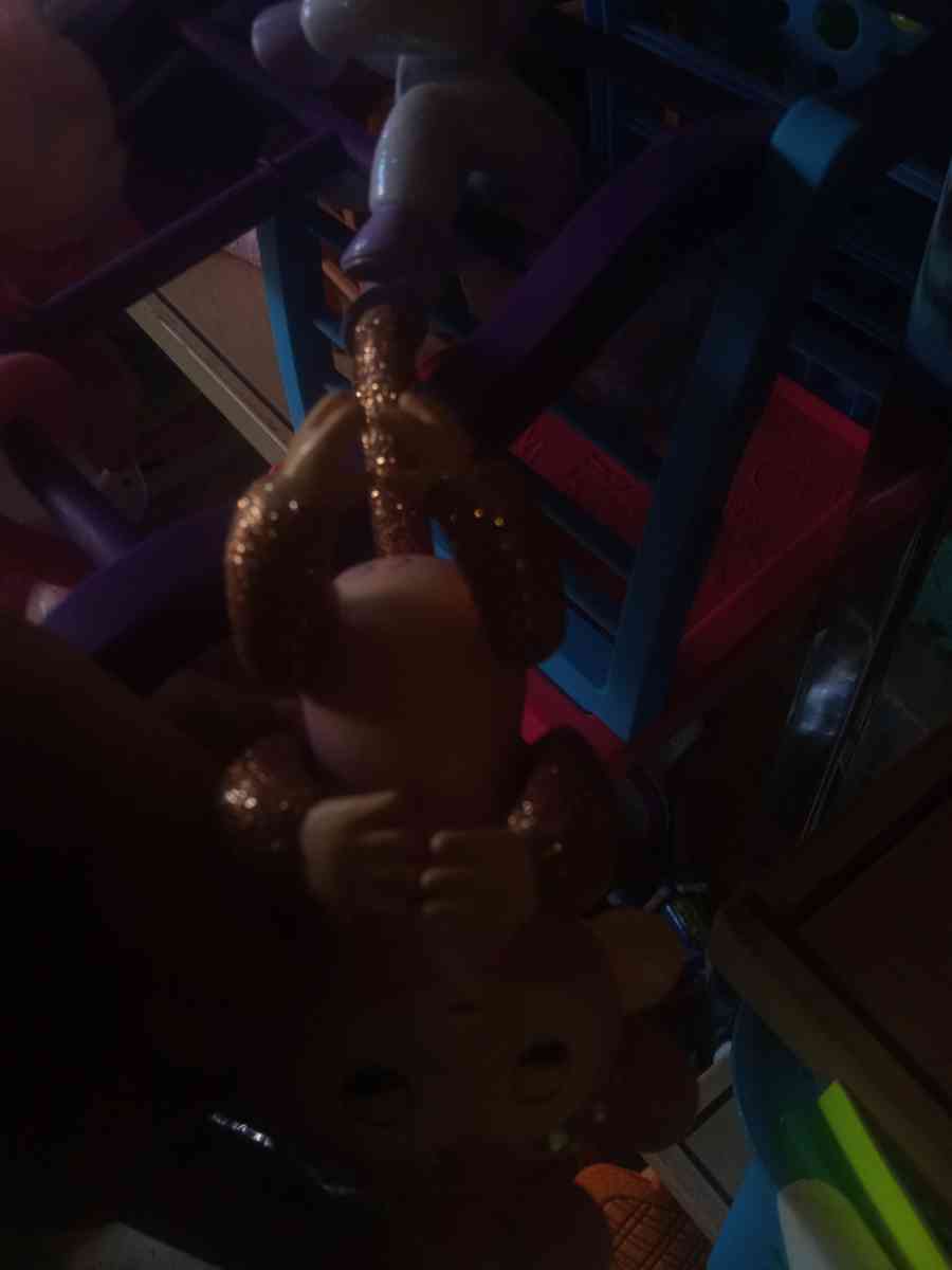 fingerlings 5 dollars  each - Ocala, Florida - FleaMarketBay