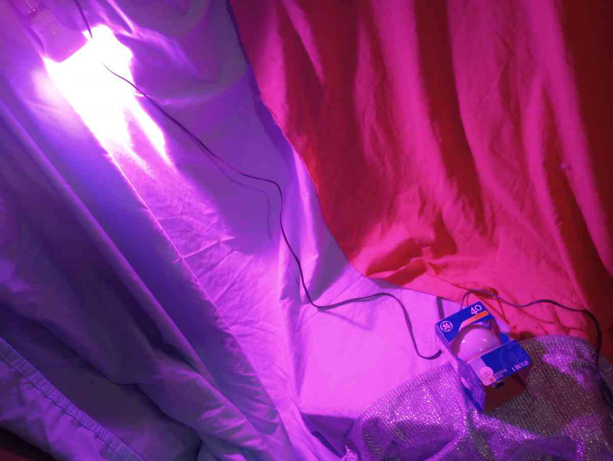 Grow Light for Indoor Plants with Extra 40 watt Bulb - Alamosa, Colorado