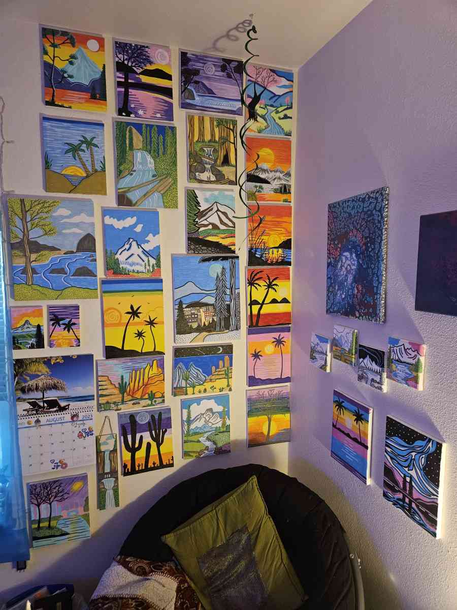 Hand Painted Acrylic Canvases - Eugene, Oregon - FleaMarketBay