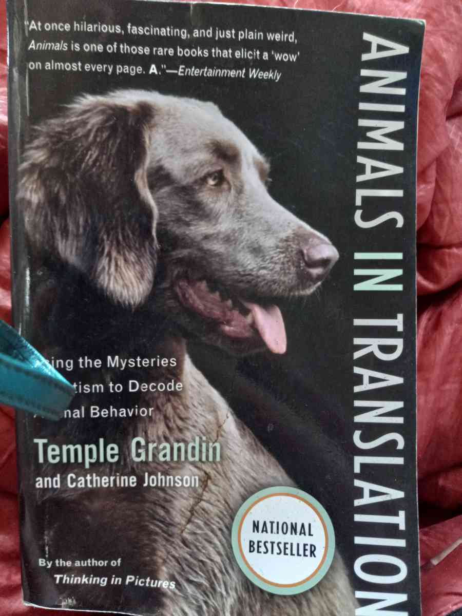 soft cover book - Tampa, Florida