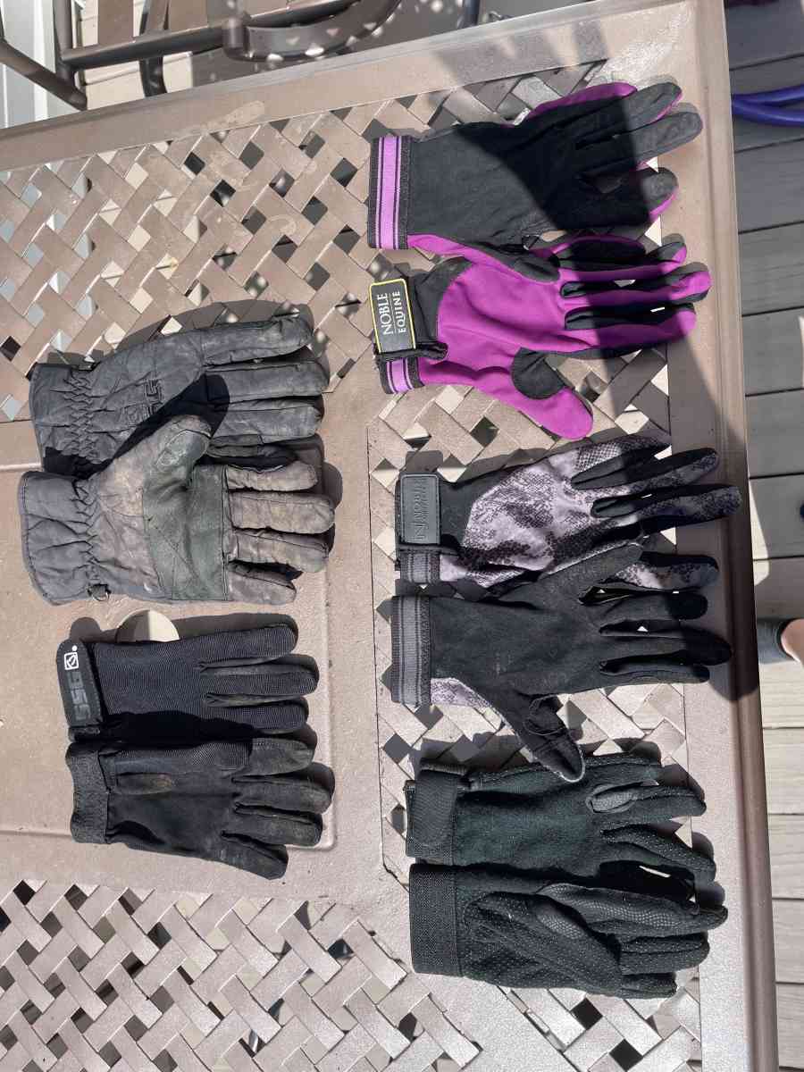 Horse equipment - Penfield, New York - FleaMarketBay