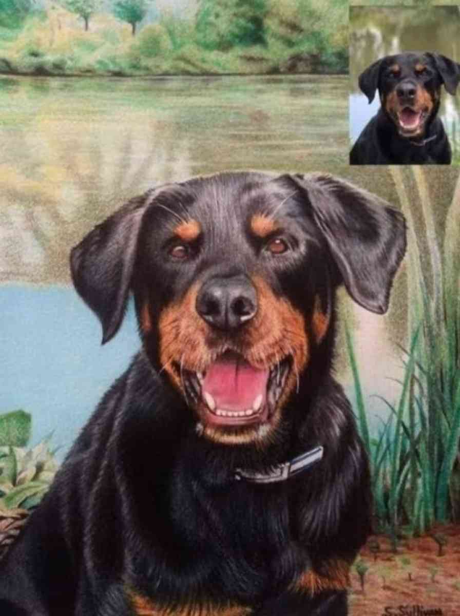 Hand drawn portraits - Alsip, Illinois - FleaMarketBay