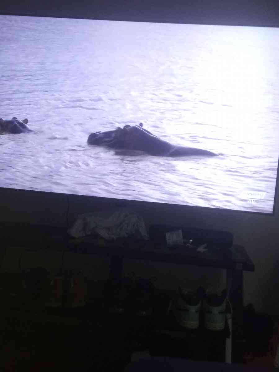 Samsung Tv - Denham Springs, Louisiana - FleaMarketBay