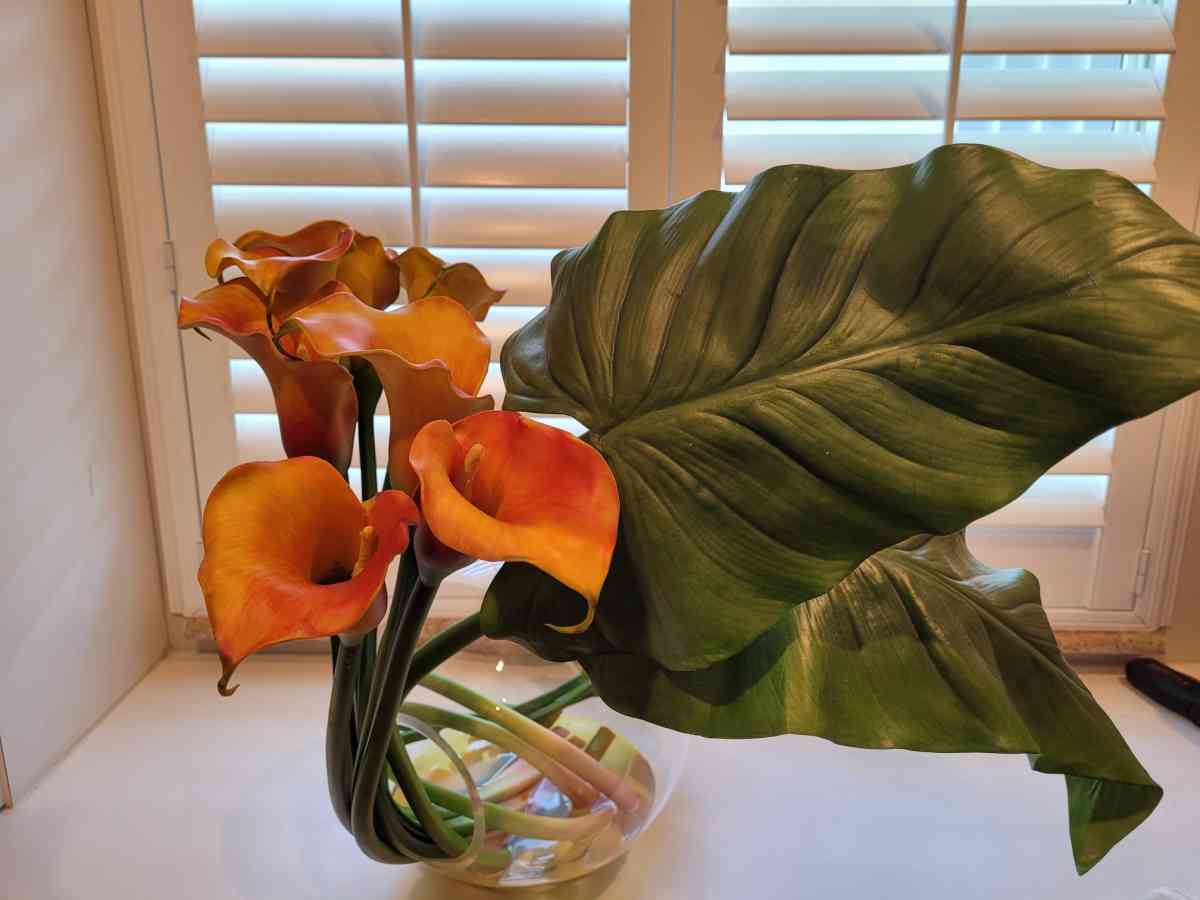 decorative - Hialeah, Florida - FleaMarketBay