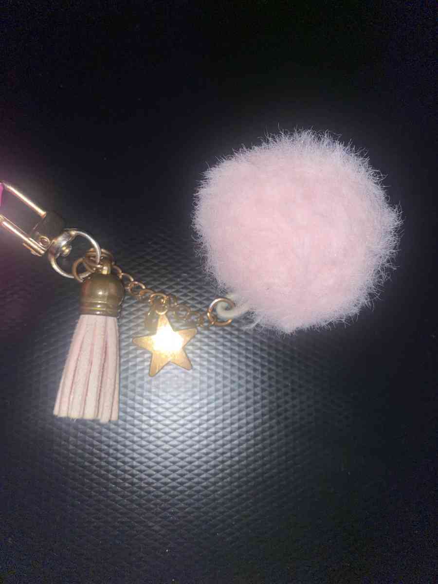 Barbie Airpods Pro Case - Ann Arbor, Michigan - FleaMarketBay