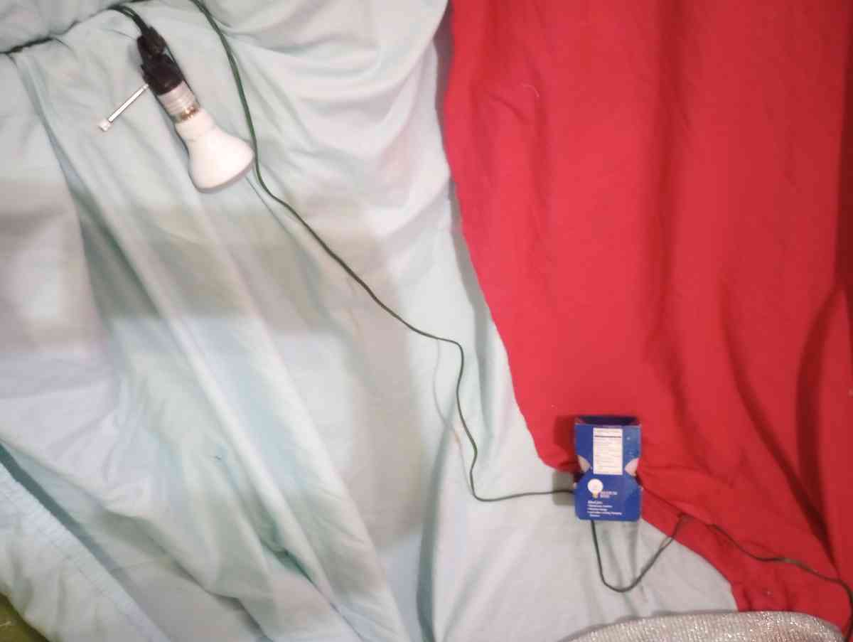 Grow Light for Indoor Plants with Extra 40 watt Bulb - Alamosa, Colorado - FleaMarketBay