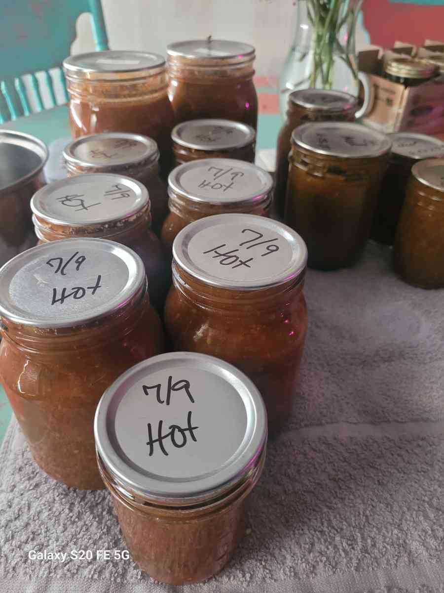 Homemade Salsa - Ardmore, Oklahoma - FleaMarketBay