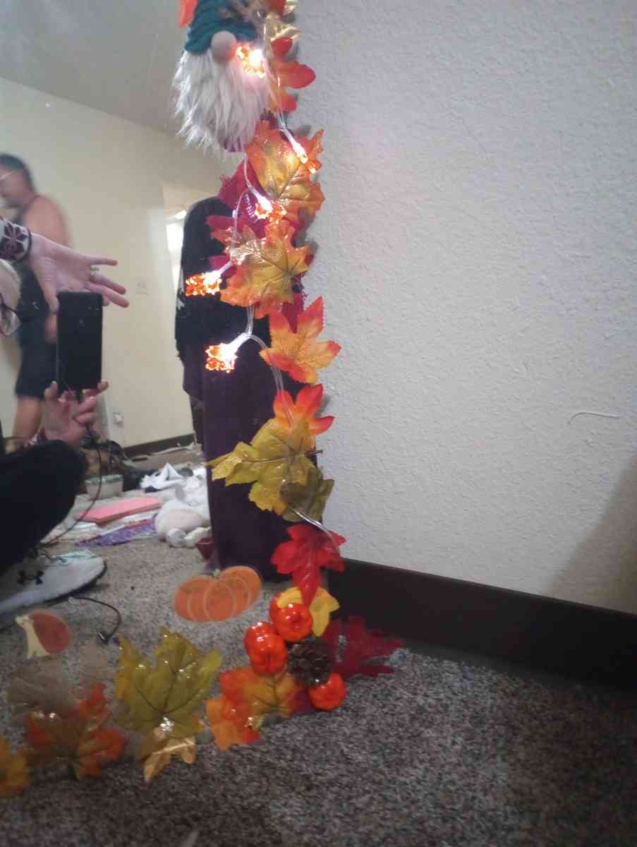 48 in x 32 in Full Length Fall Frame Mirror - Alamosa, Colorado - FleaMarketBay