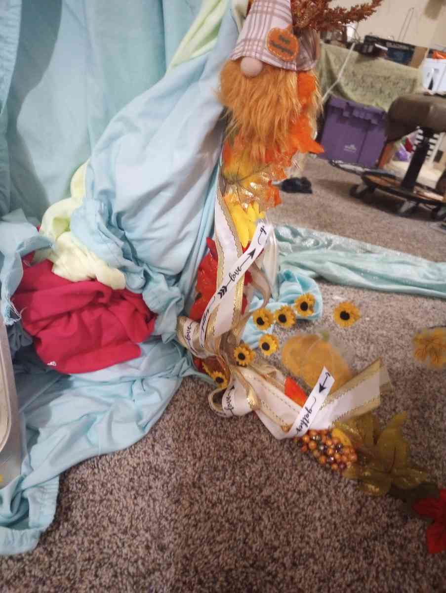 48 in x 32 in Full Length Fall Frame Mirror - Alamosa, Colorado - FleaMarketBay