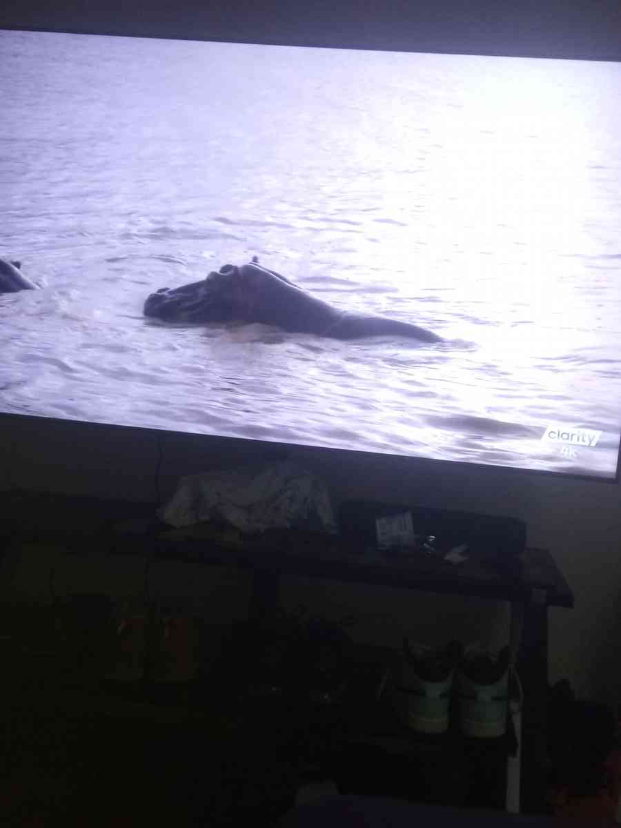 Samsung Tv - Denham Springs, Louisiana - FleaMarketBay