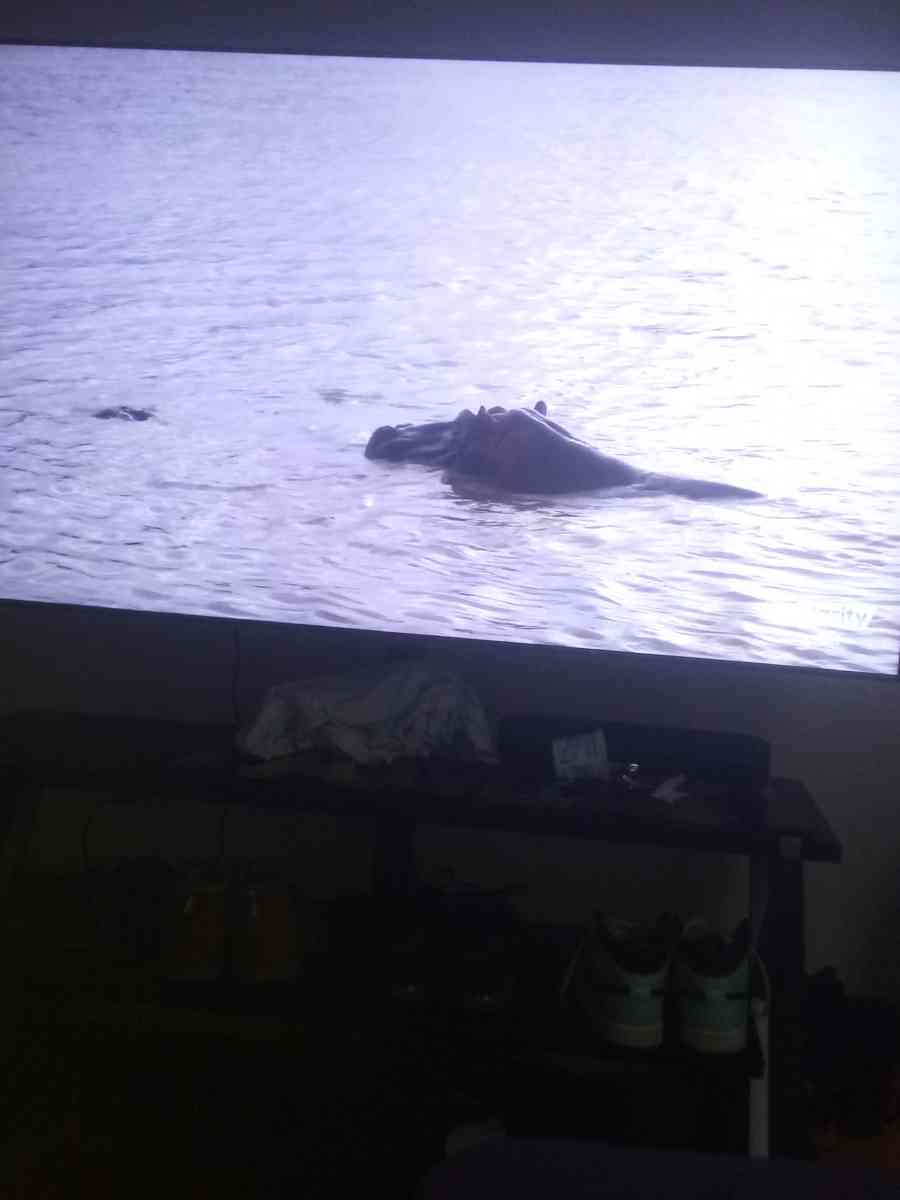 Samsung Tv - Denham Springs, Louisiana