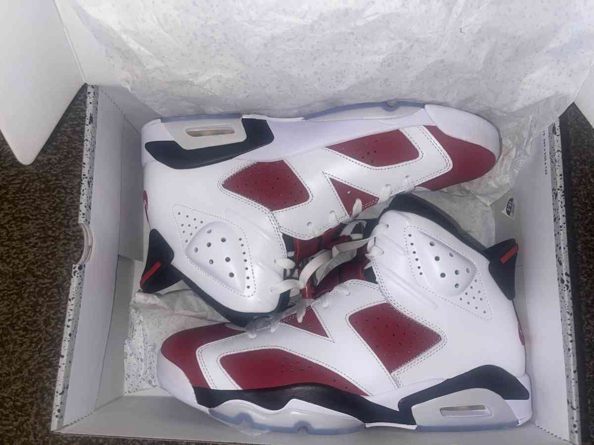 Jordan 6 Carmines - Monroe, Michigan