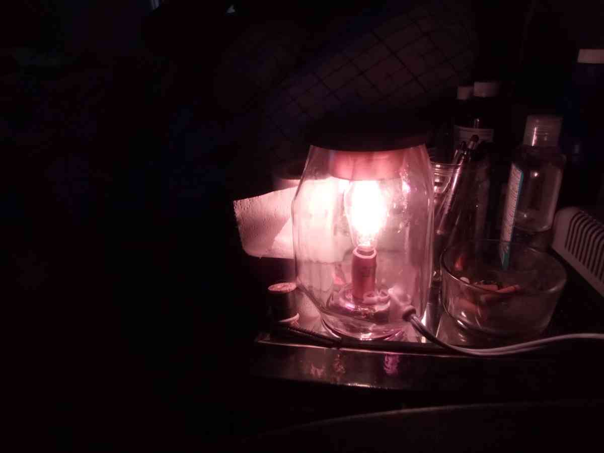 Conair heating pad new - Corpus Christi, Texas - FleaMarketBay