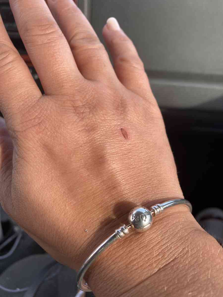pandora silver kiss bangle - Bessemer, Alabama - FleaMarketBay