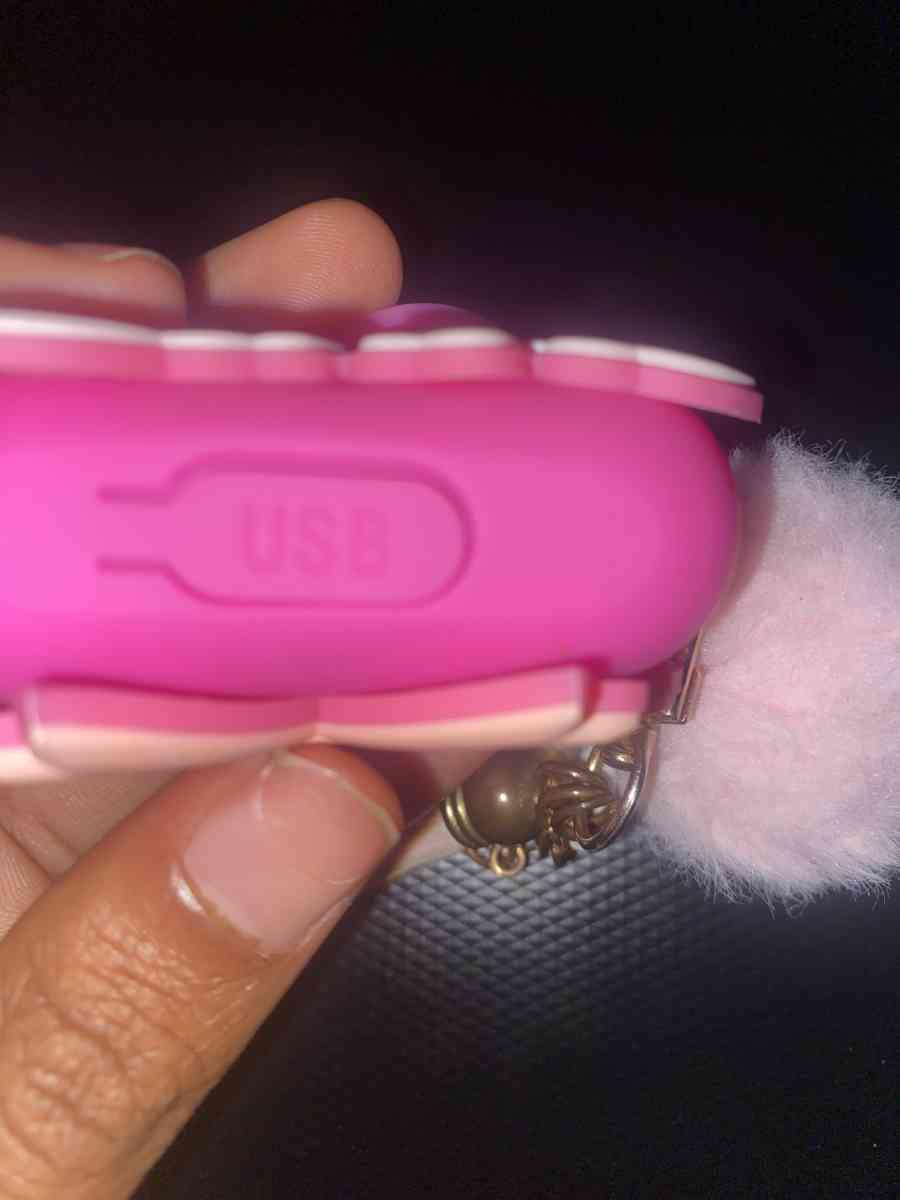 Barbie Airpods Pro Case - Ann Arbor, Michigan - FleaMarketBay