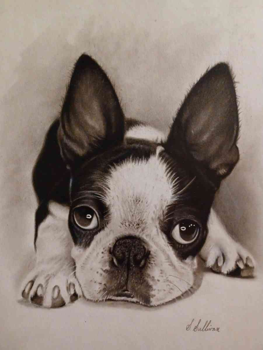 Hand drawn portraits - Alsip, Illinois - FleaMarketBay